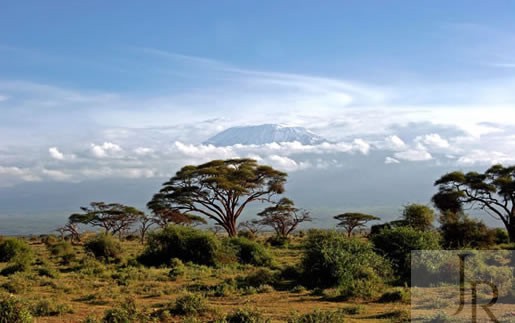 4 Days Tsavo and Amboseli Safari